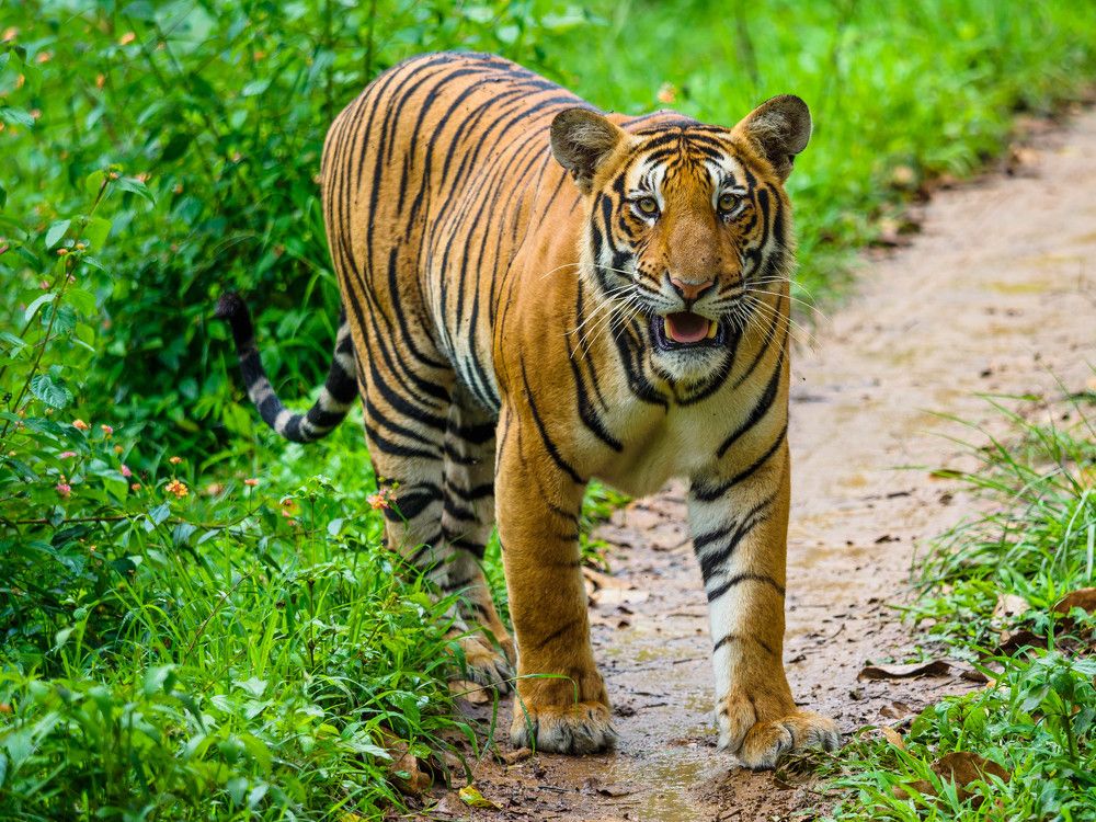 Photograph by Venkat Mangudi