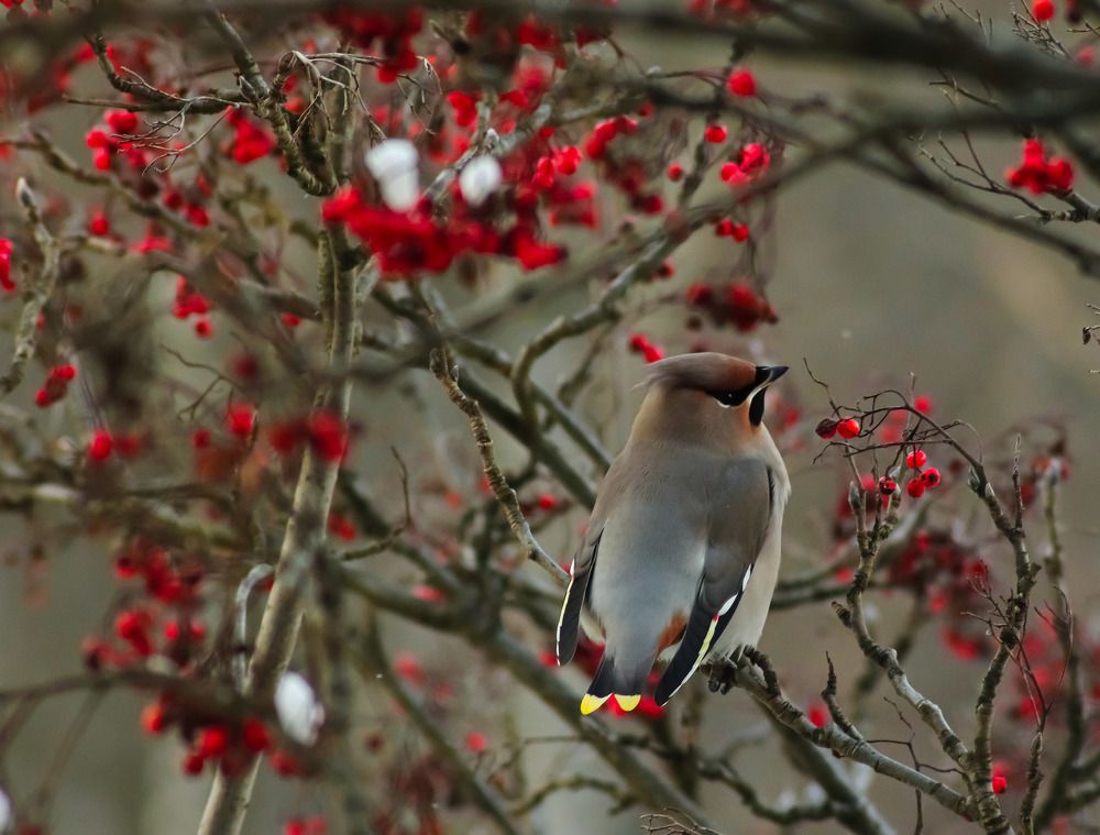 Photograph by Екатерина Чернышова