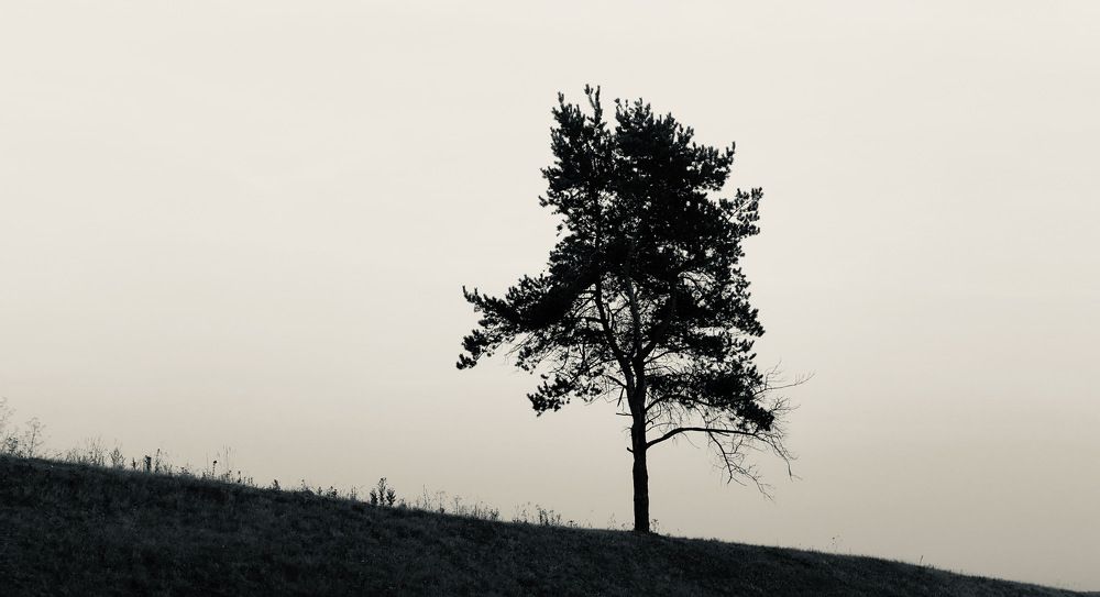 Photograph by Михаил Кирьянов