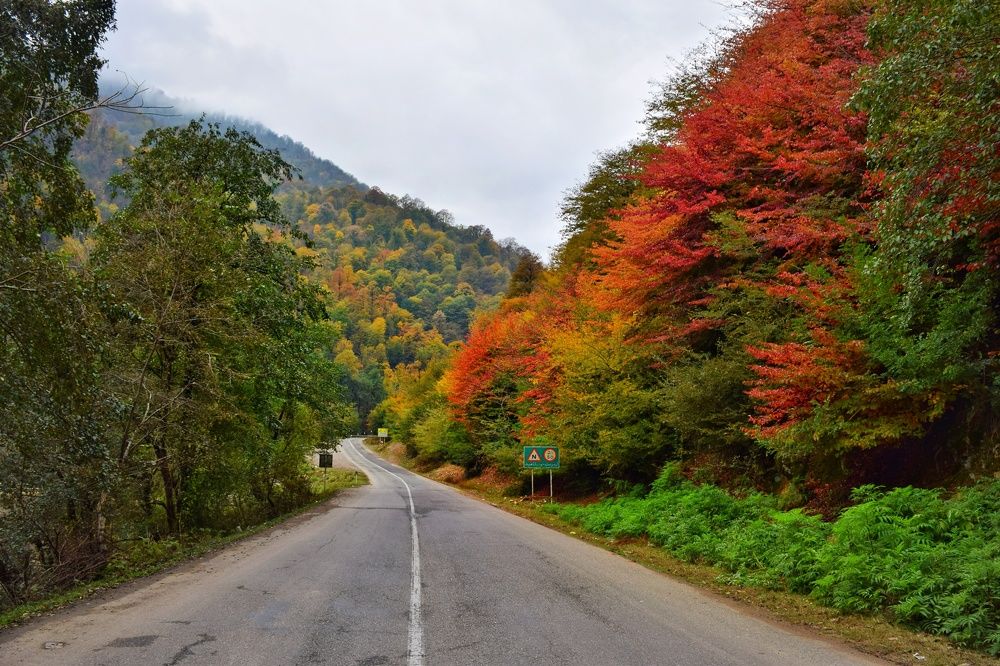 Photograph by Mohammadreza Sabetikhah masuleh