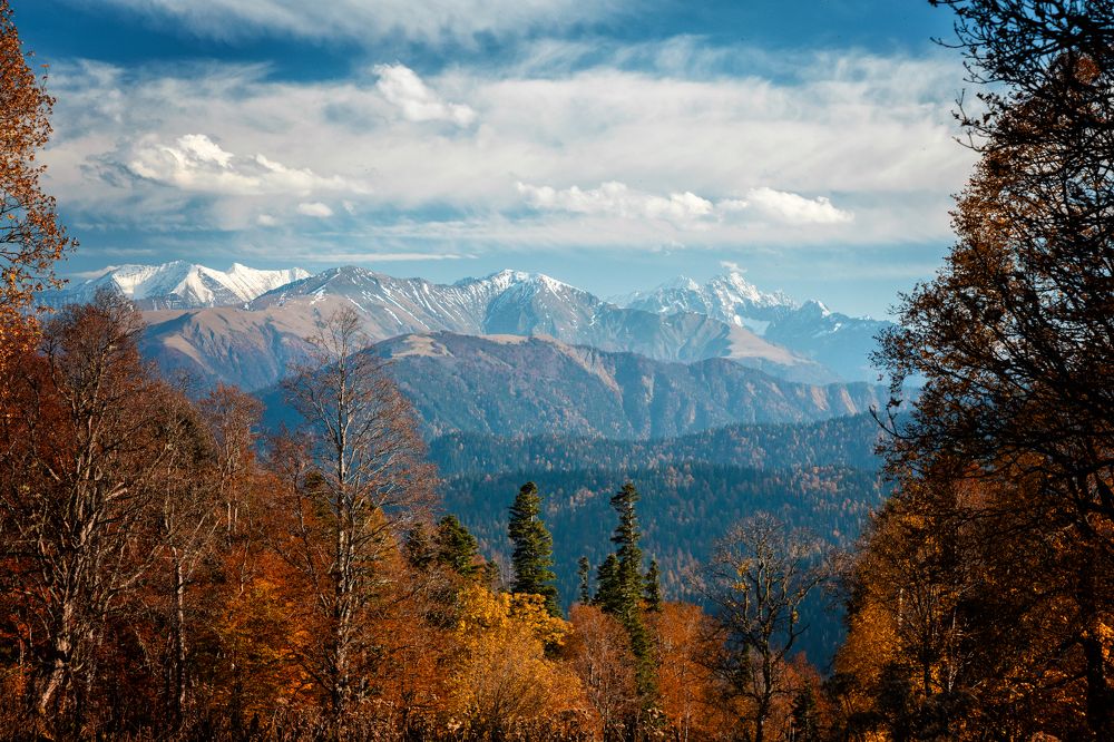 Photograph by EKATERINA WALTER