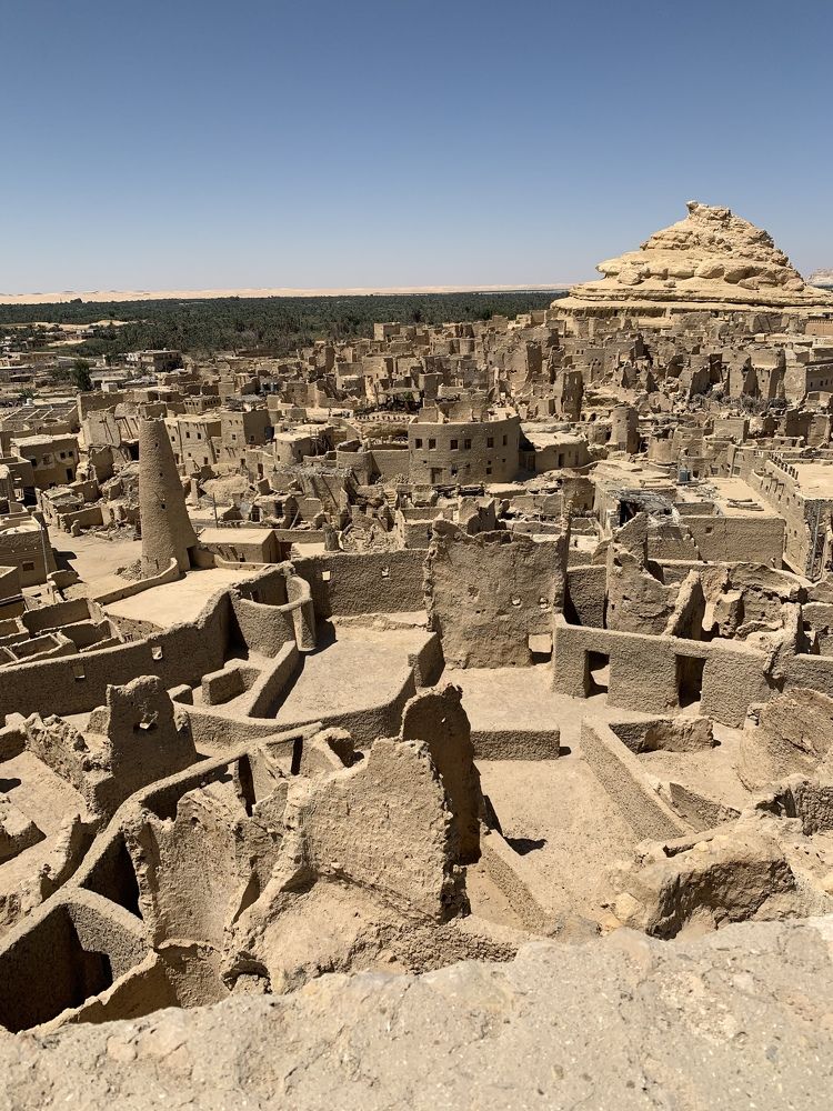 Фотография автора Марина Верба