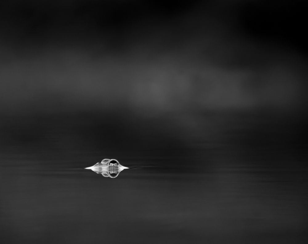 Photograph by Janakan Sritharan