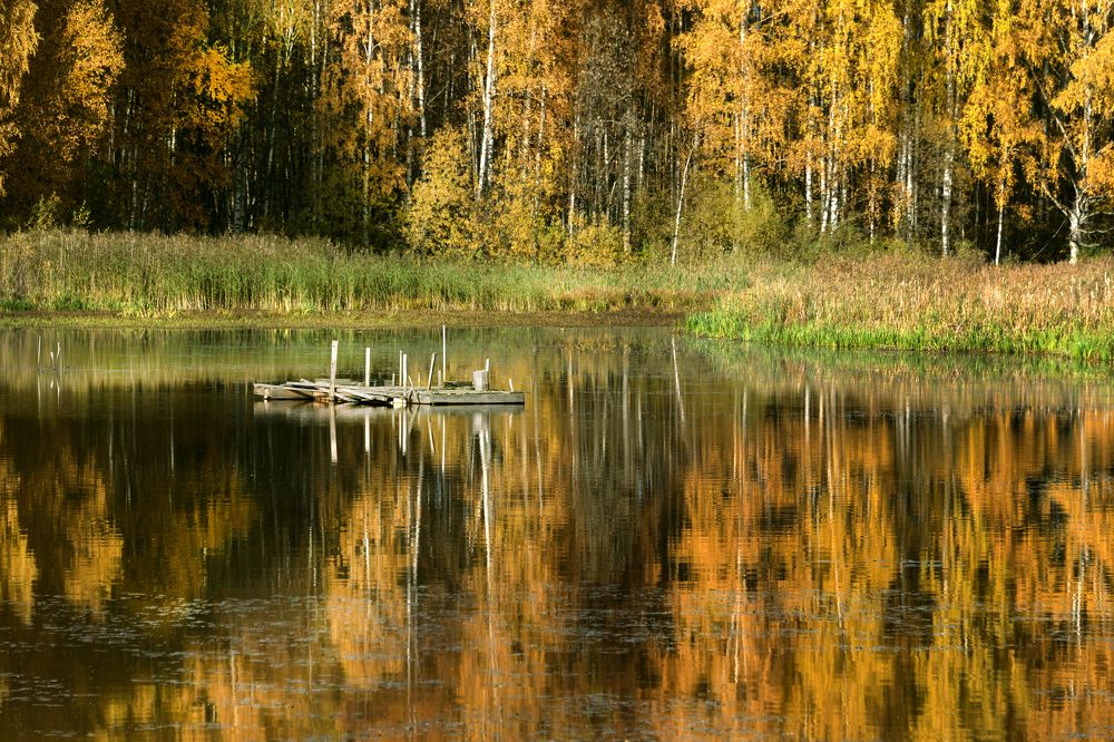 Photograph by Елизавета Шавардина