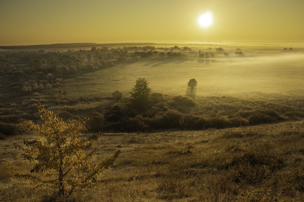 Фотография автора Евгений Подгорнов