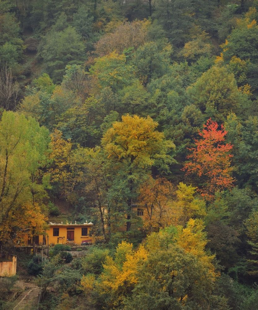 Photograph by Mohammadreza Sabetikhah masuleh