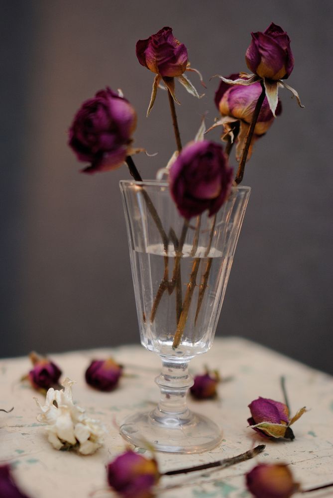 Photograph by Михаил