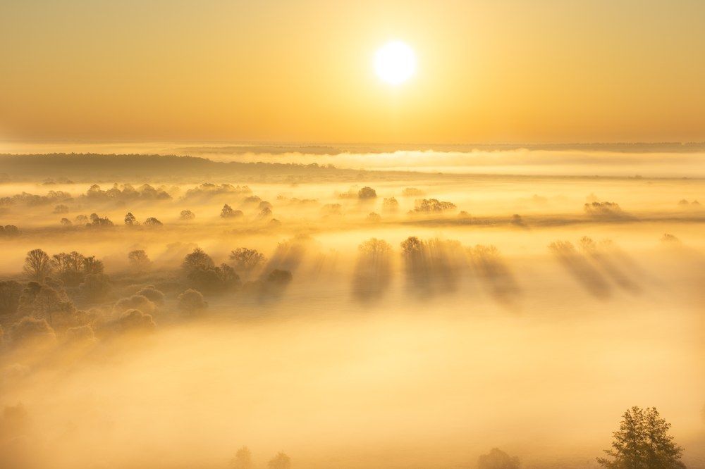 Фотография автора Евгений Подгорнов