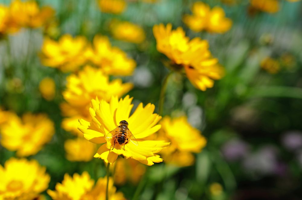 Photograph by Михаил