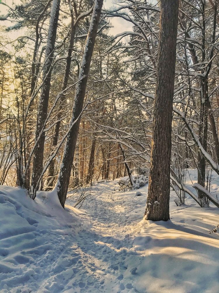 Photograph by Владимир Жуков