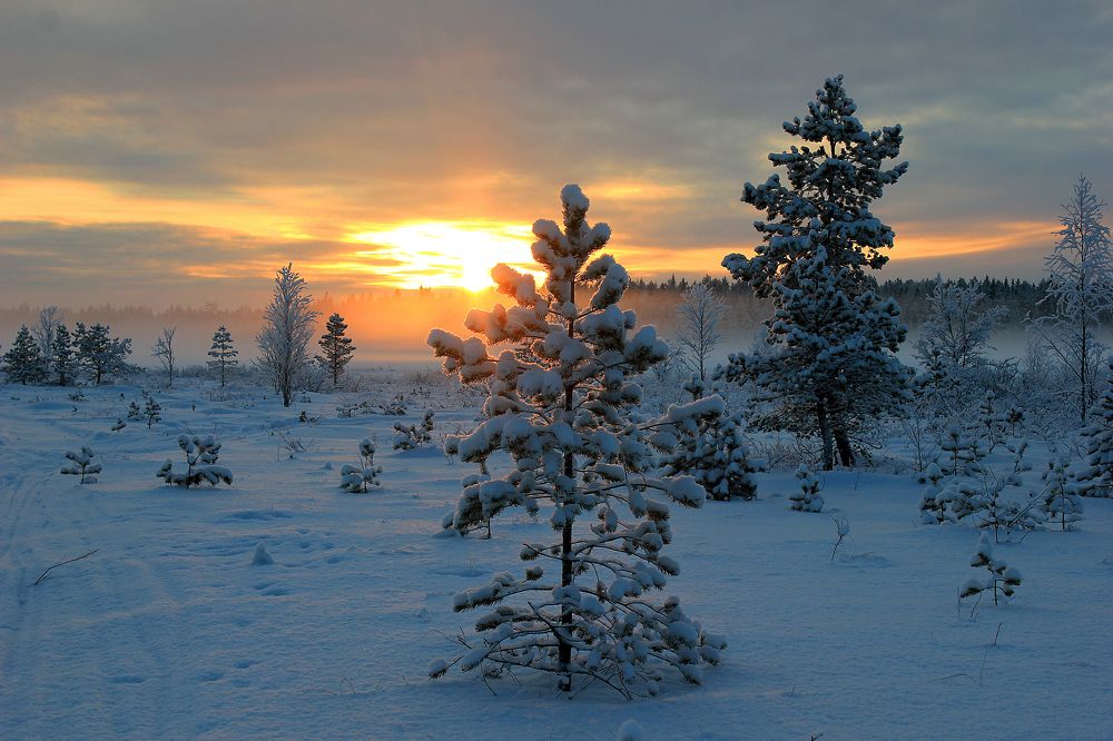Photograph by Чурсинова Юлия