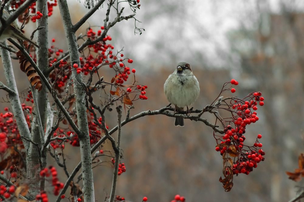 Photograph by Екатерина Чернышова