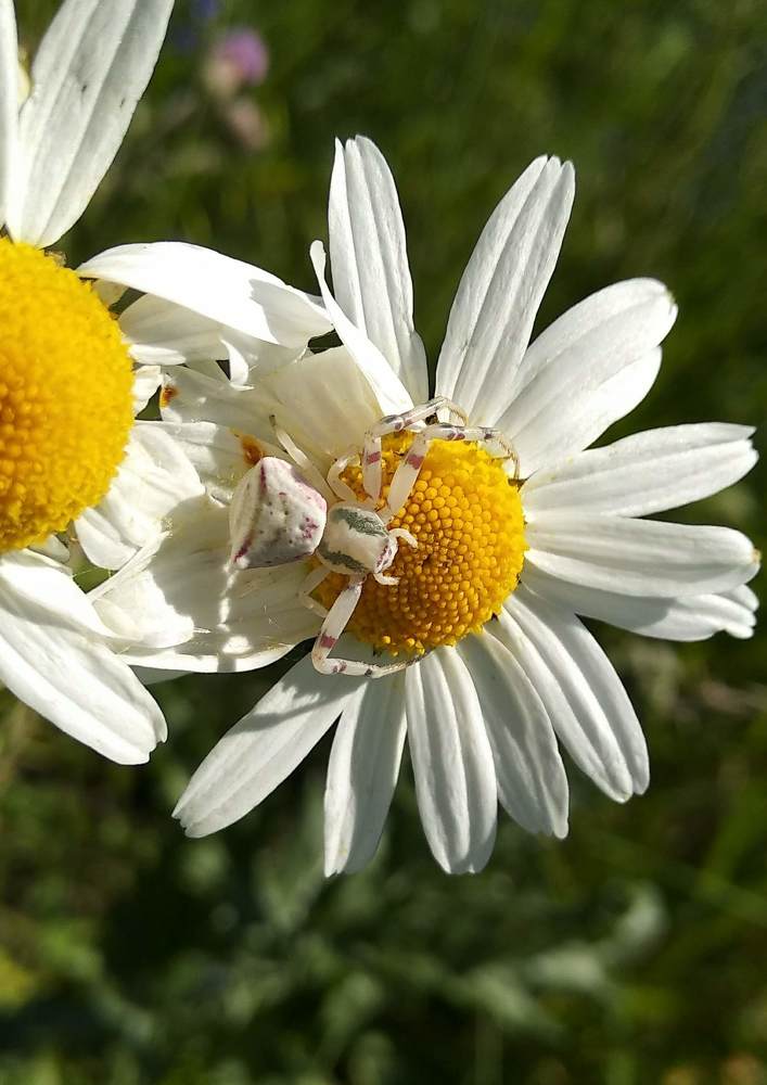 Photograph by Наиля Омарова