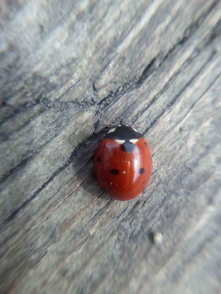 Photograph by Наиля Омарова