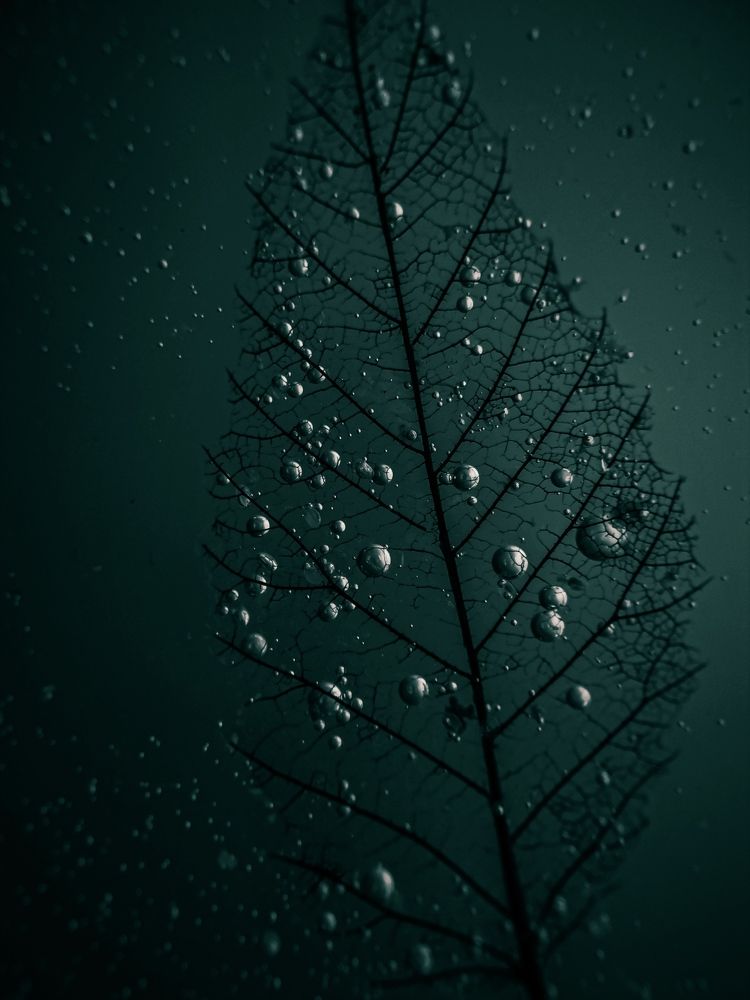 Кислородный