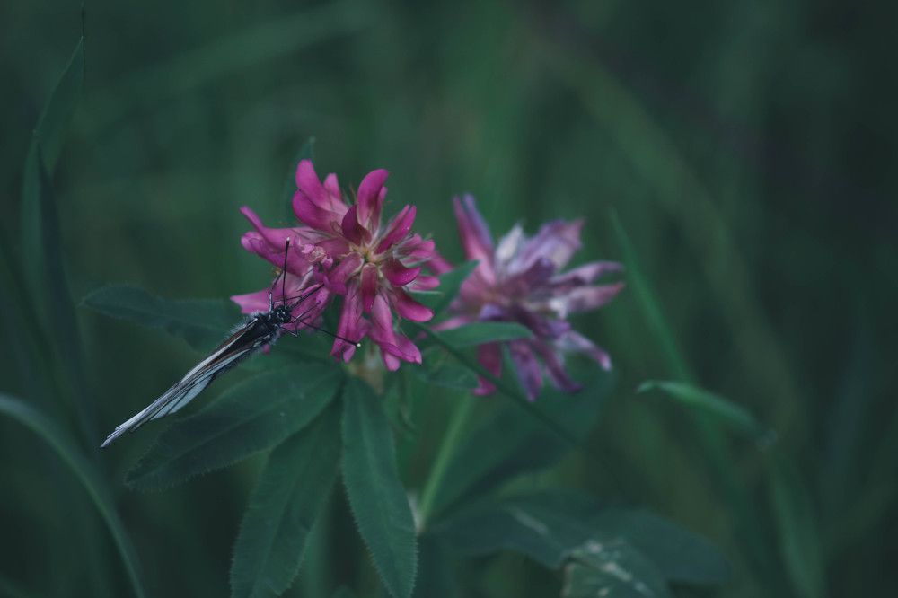 Photograph by Елена Федорова