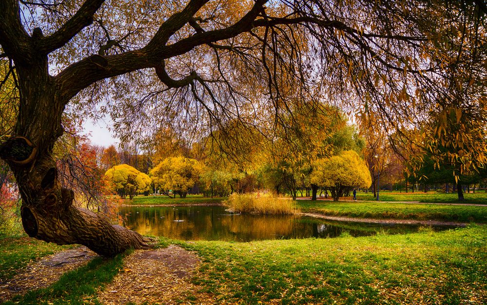 Сад 9 января в Санкт-Петербурге