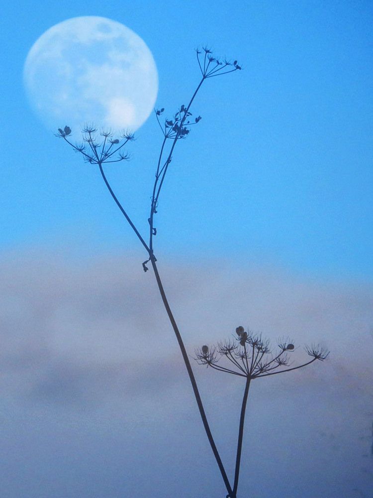 Photograph by Нина Будникова