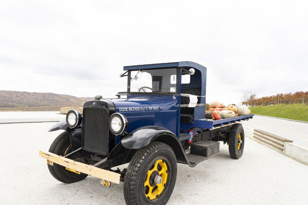 Фотография автора Ирина Зайцева