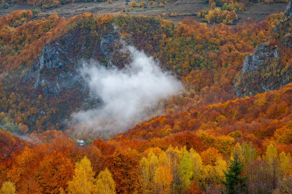 Photograph by Pucs Fongabe