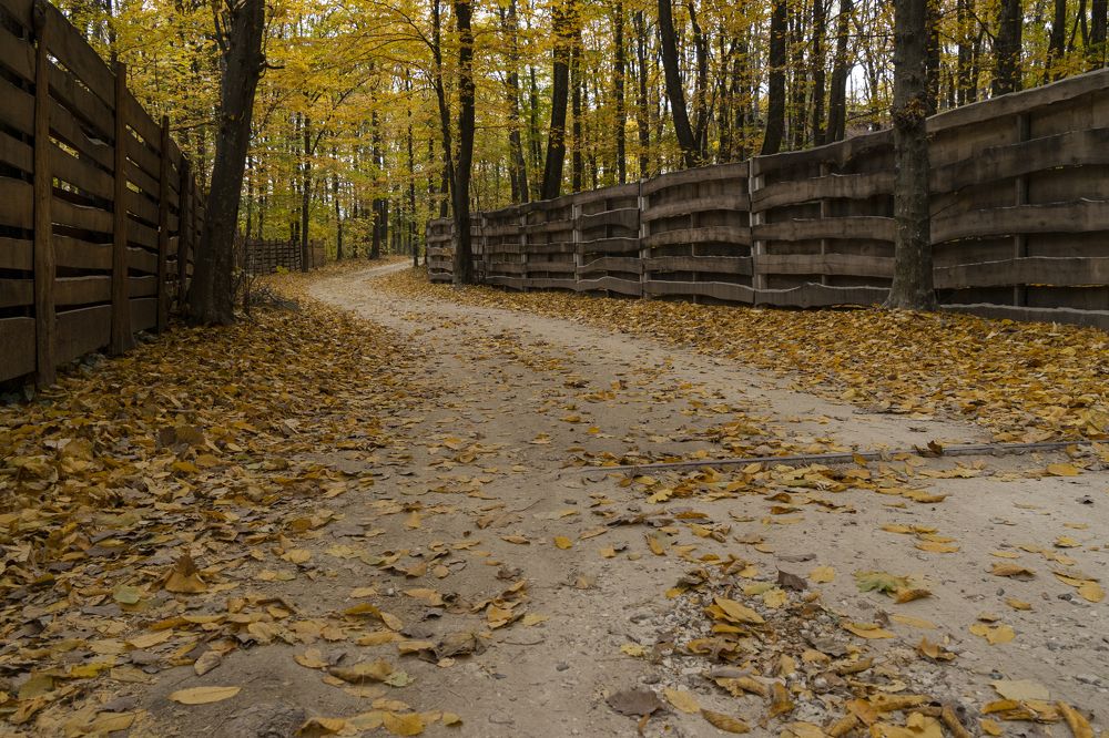 Фотография автора Ирина Зайцева