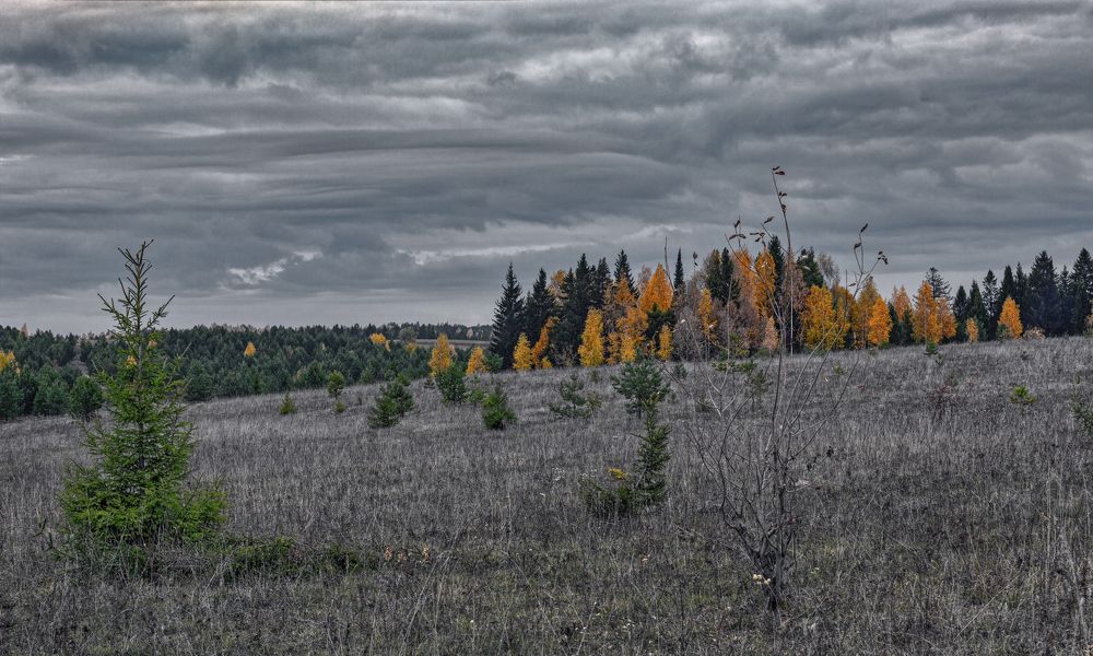 Первое дыхание Зимы.