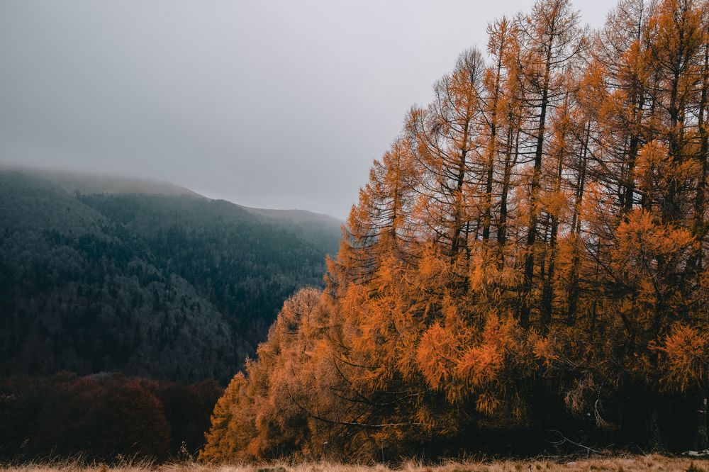 Photograph by Madalin Giurgescu