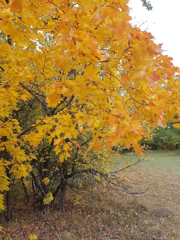 Photograph by Елена Поткина