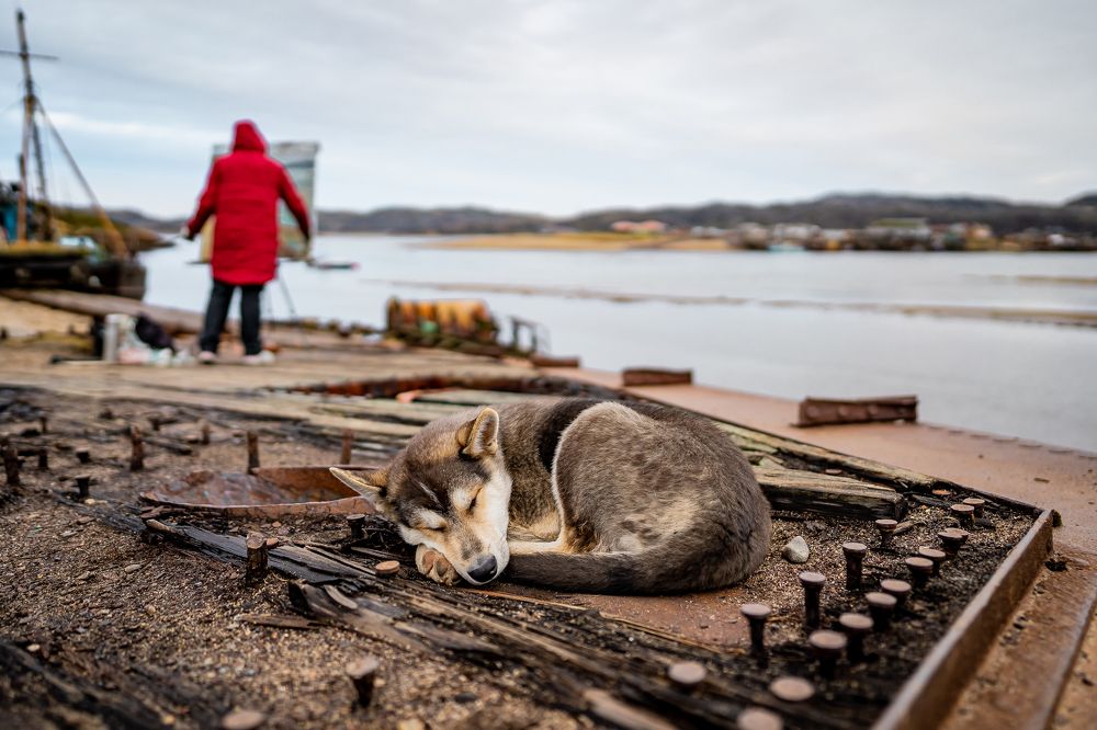 Photograph by Timofey Gorlov