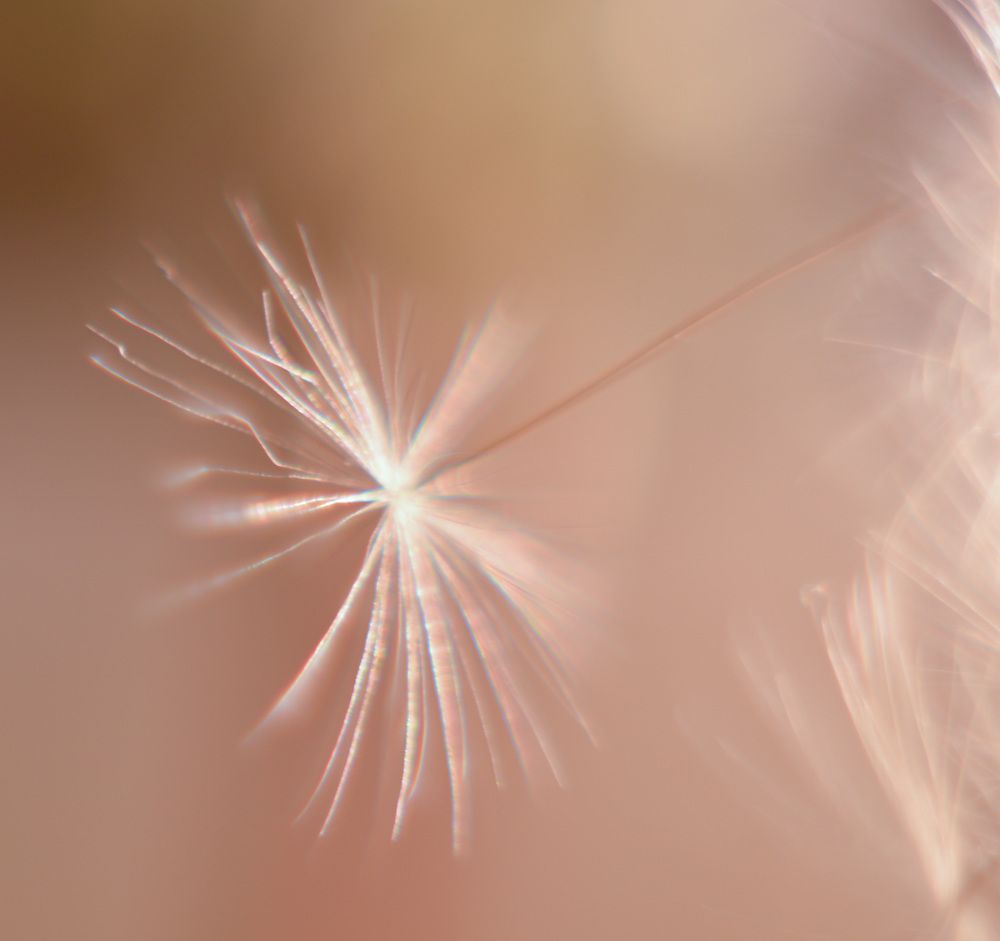 Photograph by Ольга Темкина