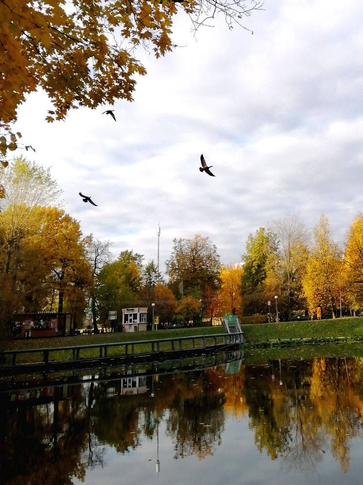 Photograph by Светлана Веселовская