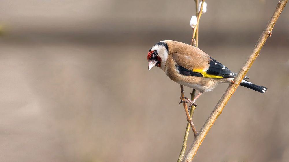 Photograph by Олег Колмаков