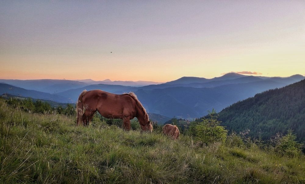 Carpathian evening atmosphere