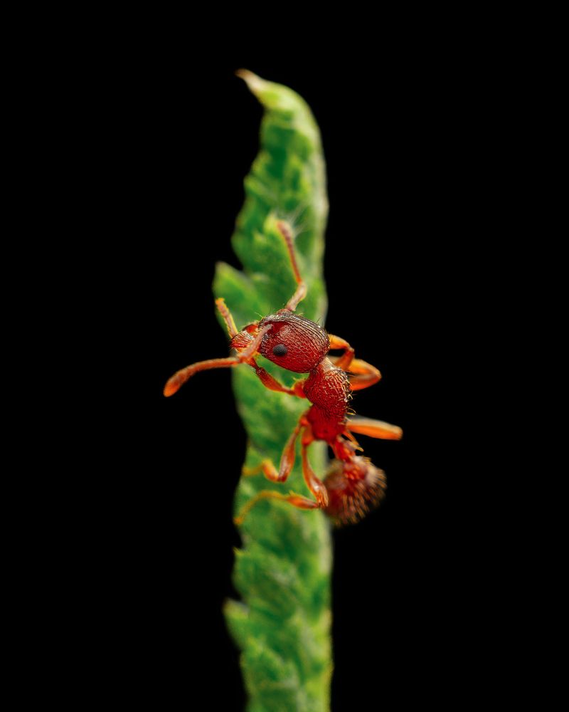 Photograph by Степан Соловьёв