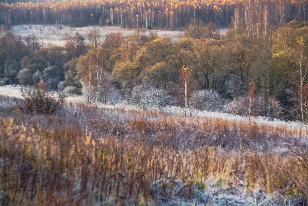 Фотография автора Алиса Чурчудесная