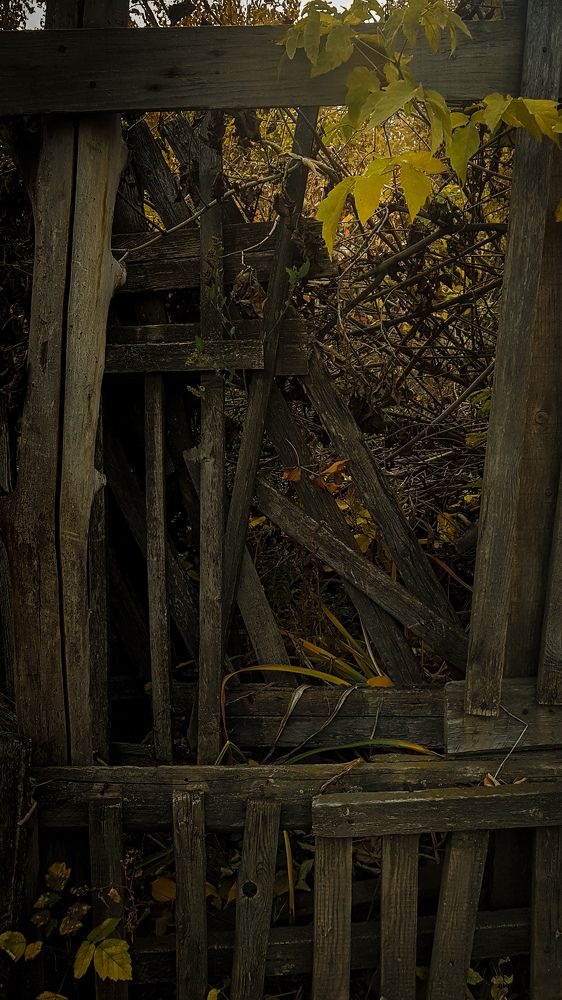 Photograph by Юлия Мишина