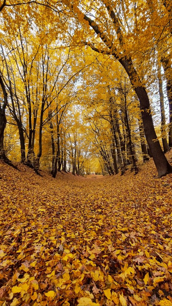 Photograph by Ирина Дубицкая