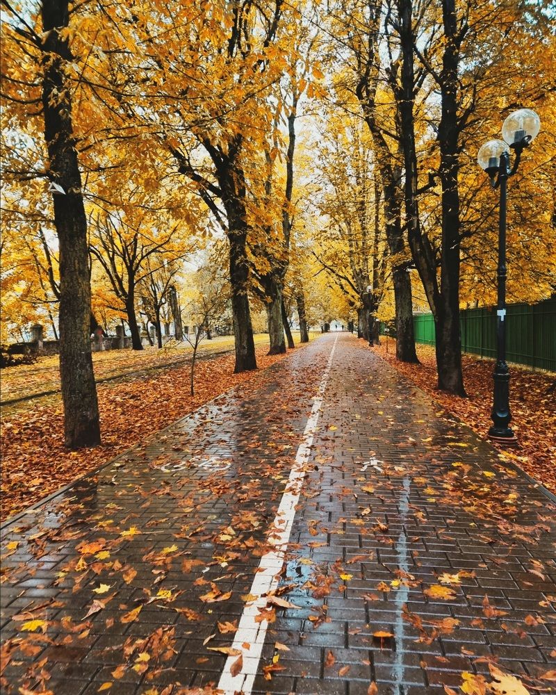 Photograph by Ирина Дубицкая