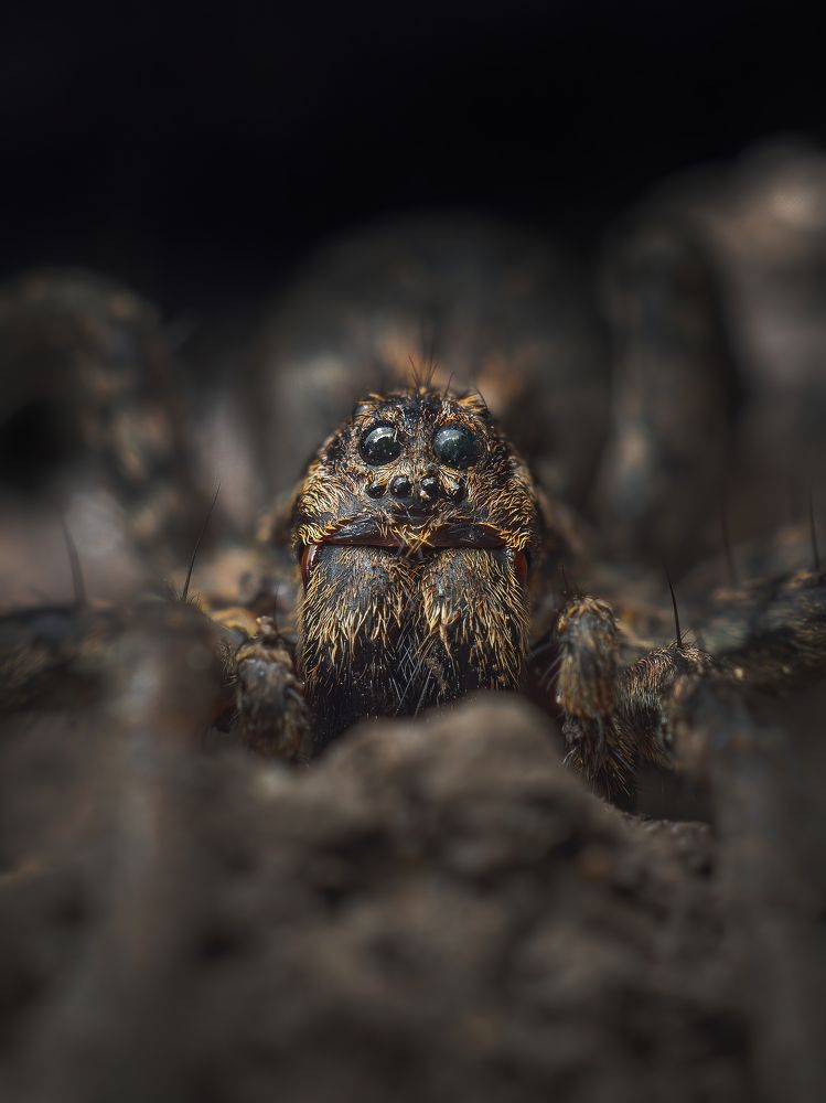 Photograph by Степан Соловьёв