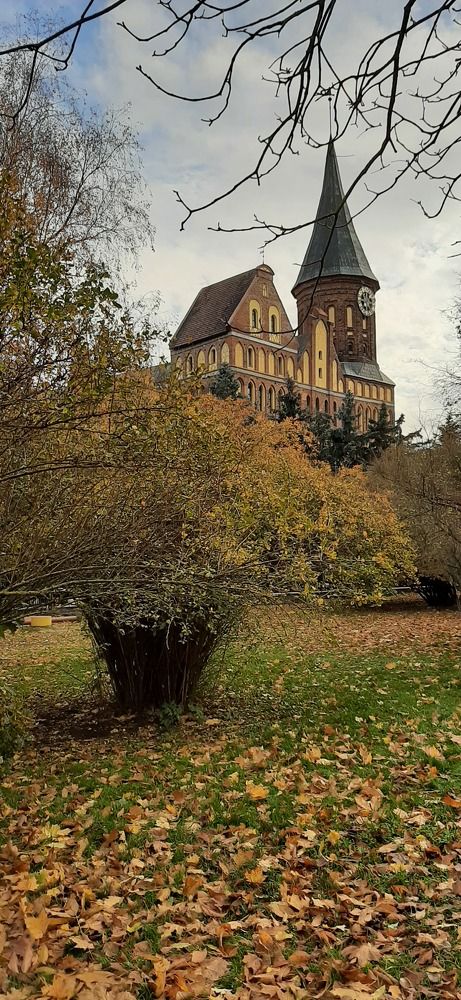 Photograph by Марийона Савоненко