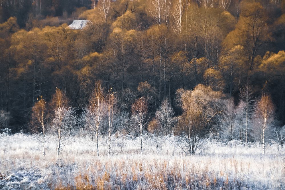 Фотография автора Алиса Чурчудесная