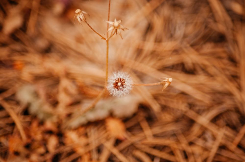 Photograph by Александр Наракшин