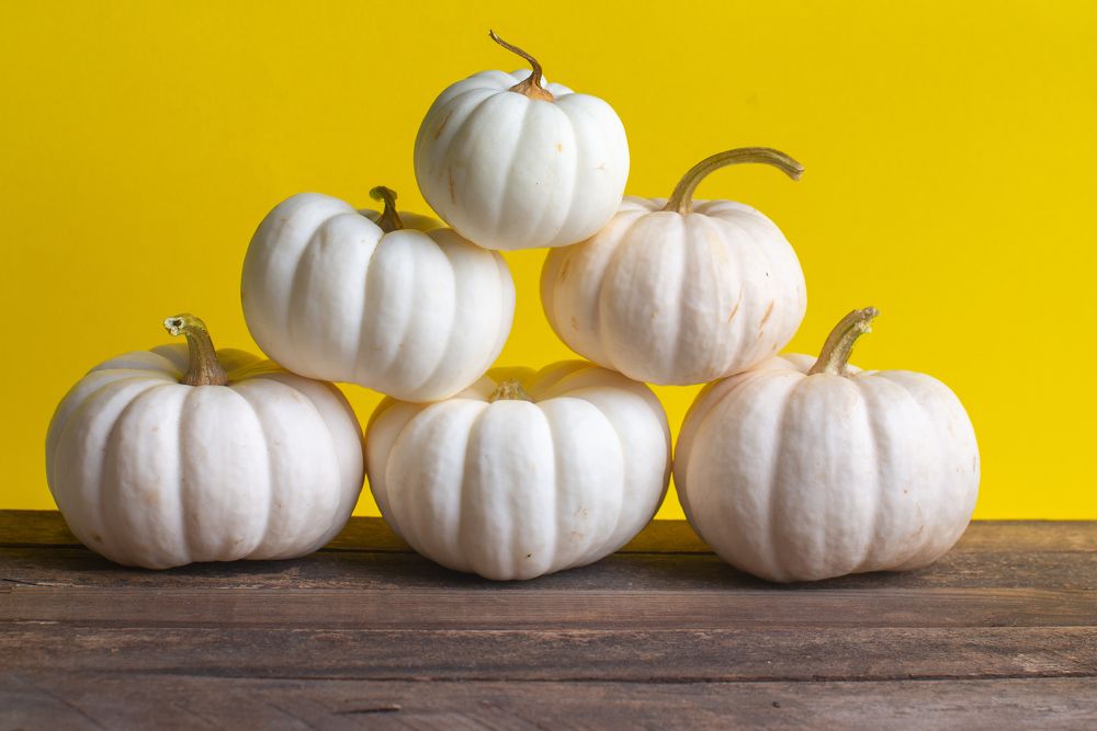 Photograph by Darina