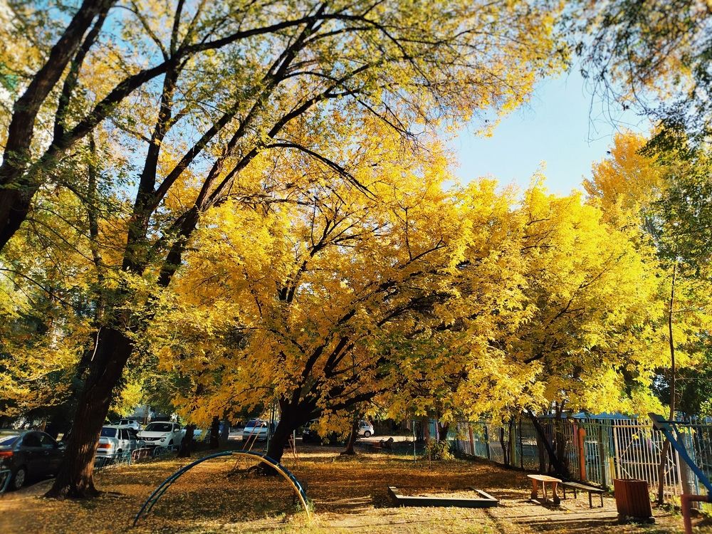 Photograph by Елена Демина