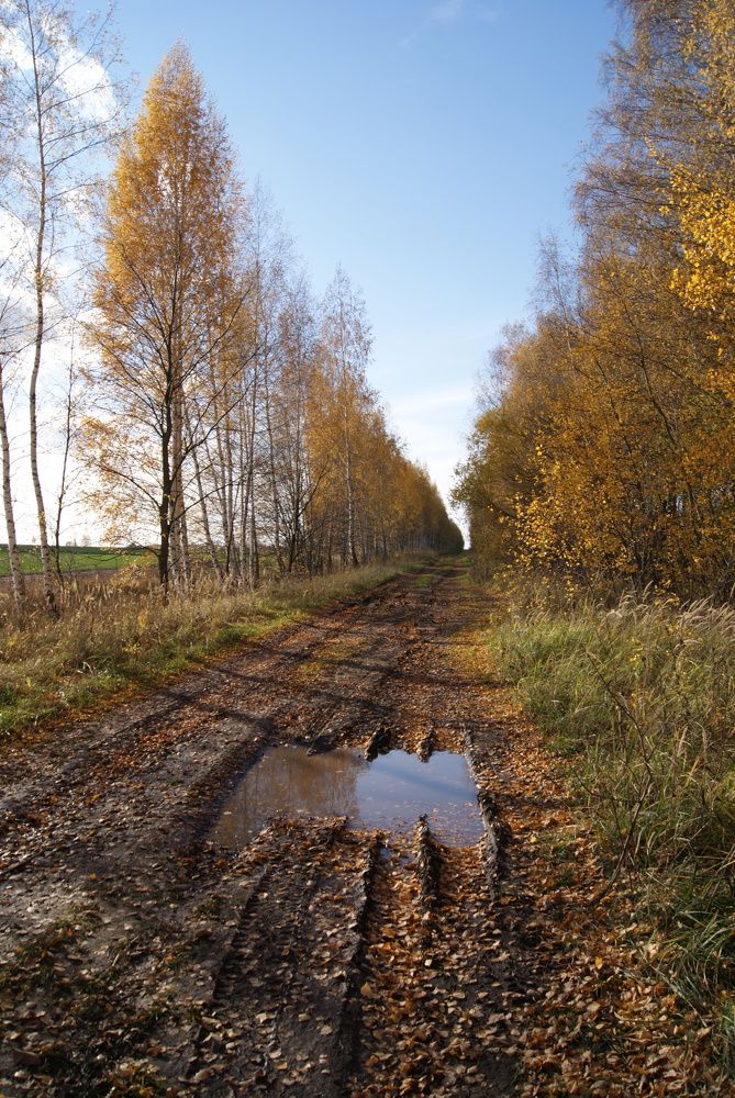 Photograph by Дмитрий Ревищин