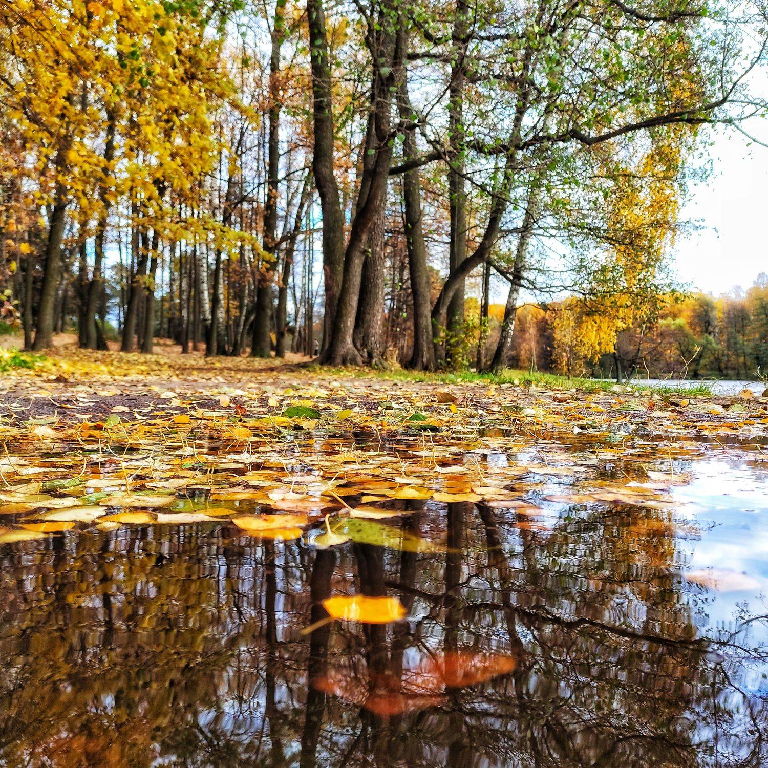 Взгляд на осень из воды.