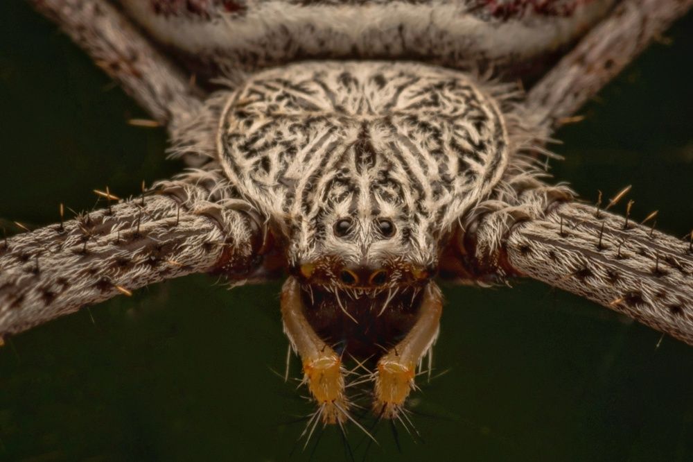 Photograph by Dipanjan Pal