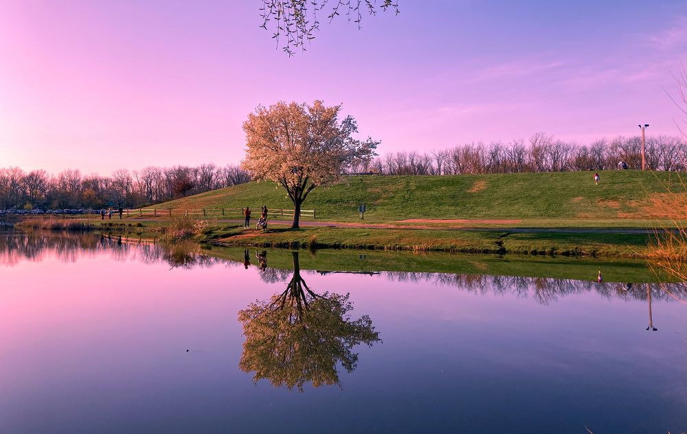 Photograph by Gargee Chowdhury