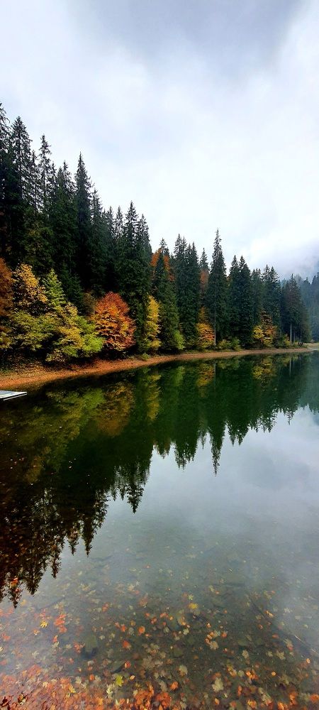 Photograph by Илона Руднева
