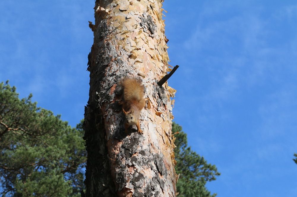 Photograph by Софья